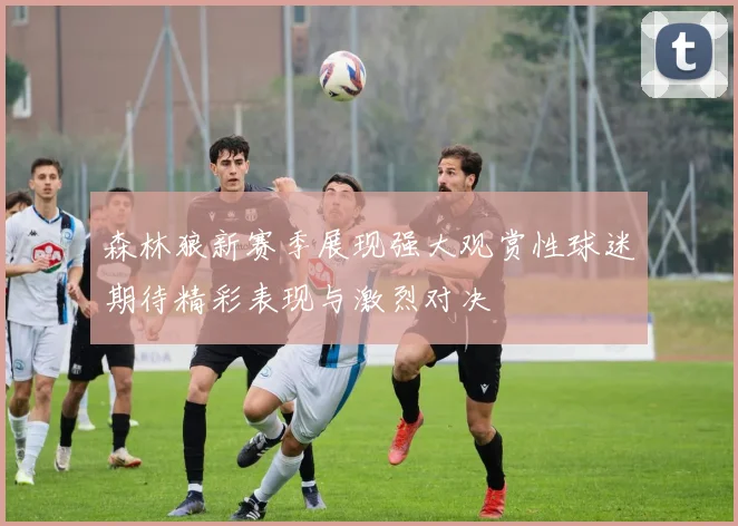 森林狼新赛季展现强大观赏性球迷期待精彩表现与激烈对决
