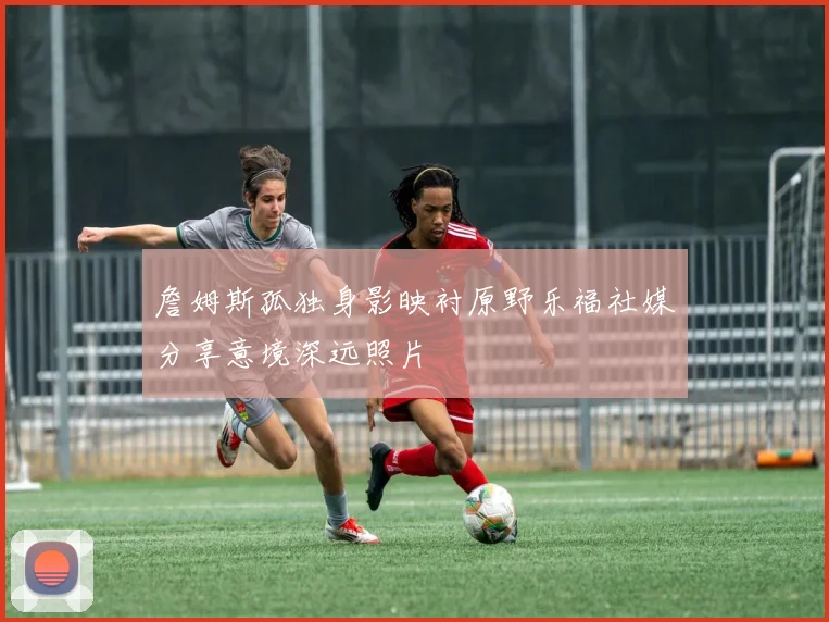 詹姆斯孤独身影映衬原野乐福社媒分享意境深远照片