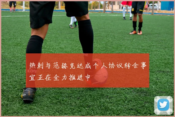 热刺与范赫克达成个人协议转会事宜正在全力推进中