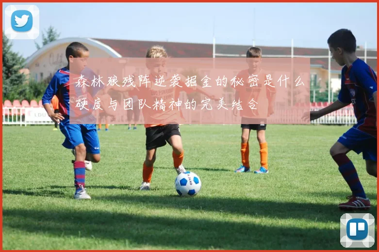 森林狼残阵逆袭掘金的秘密是什么硬度与团队精神的完美结合