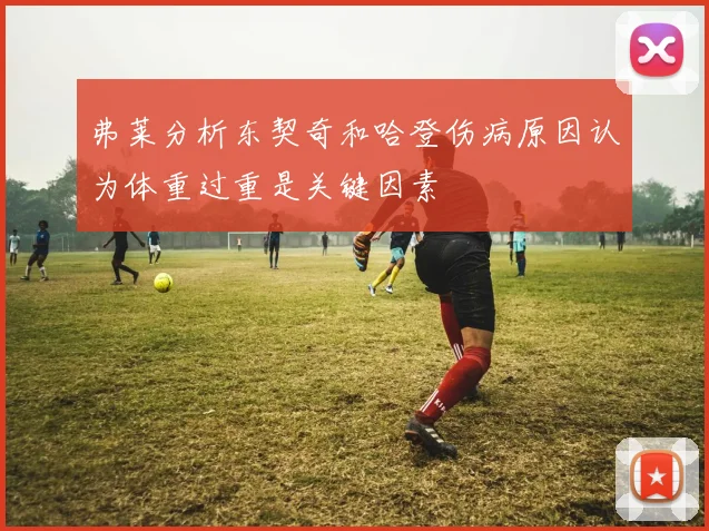 弗莱分析东契奇和哈登伤病原因认为体重过重是关键因素